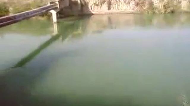 рыбалка в ширван канале Азербайджан мингечаур смотреть онлайн