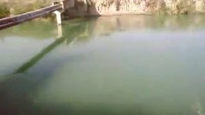 рыбалка в ширван канале Азербайджан мингечаур