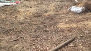 Сделал ВЕЧНЫЕ и УДОБНЫЕ грядки на косогоре