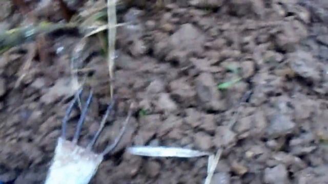 ПОДКОРМКА СМОРОДИНЫ ВЕСНОЙ смотреть онлайн