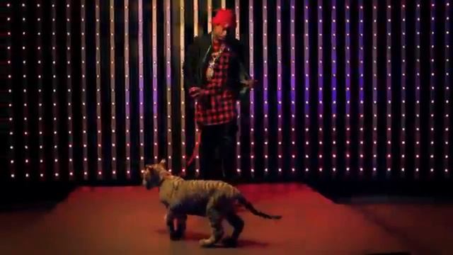 Tyga's chains and ferrari get bigger for 1 minute and 2 seconds and 300 milliseconds смотреть онлайн