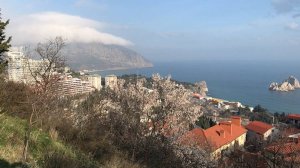 По Крыму пешком. Мартовские праздники. Ялта, Лавровое, Малый Маяк, Гурзуф