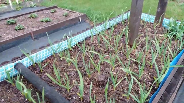 Май - дела садовые. смотреть онлайн