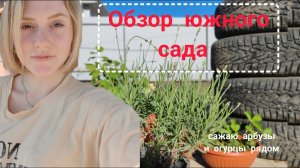 Садовые истории. Сажаю арбузы и огурцы