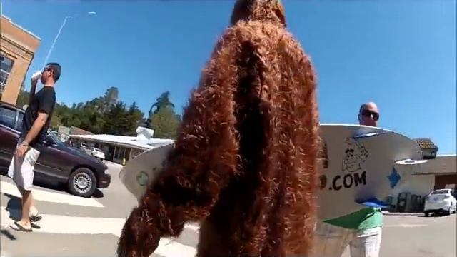 Surfing Sasquatch Sighting in Cambria, CA смотреть онлайн