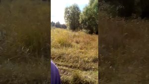 Обзор деревни Заполье 2😄