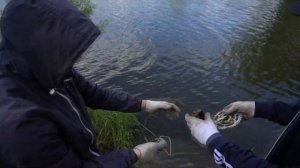 Выбери правильный поисковый магнит, чтобы разбогатеть