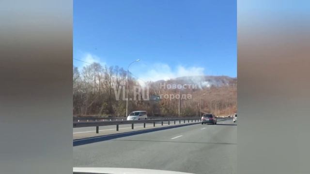 Во Владивостоке горит лес в районе шестого форта на Седанке смотреть онлайн