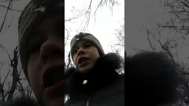 Объявление! Пропала собака!