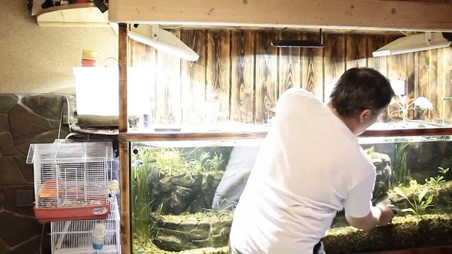 Аквариум на Металлогалогеновых лампах, будут ли изменения... смотреть онлайн