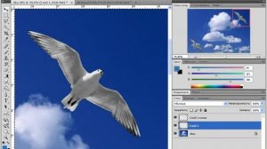 Photoshop CS4   CS5   8 Инструмент перемещения