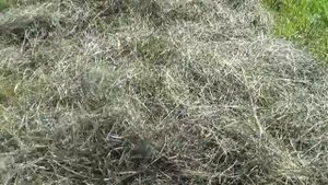 про вольер для кроликов и не только, а так же печальку