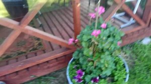 одна на хуторе Литвы приглашаю на обзор