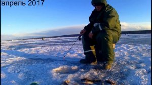 КЛЁВАЯ ЗИМНЯЯ РЫБАЛКА ОТЛИЧНЫЙ КЛЁВ. ПЕРЕЗАЛИВ.