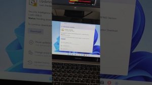 Microsoft кинула все силы на Windows 11 обновляется почти каждый день ! Когда ждать официально ?