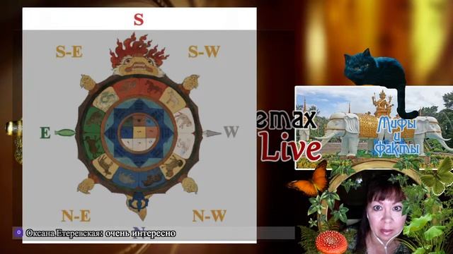 Бусина дзи 9 глаз и Золотая Черепаха смотреть онлайн