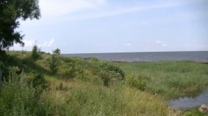 vatravel ru Остров Талабск (д.Остров-Залит) на Псковском озере