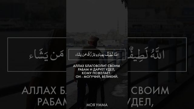 Сура 42 (18-20 аяты) Асхат Гиматдинов