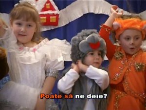 Cățelușul Șușu.