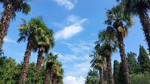 Крым зовёт! Фильм 9