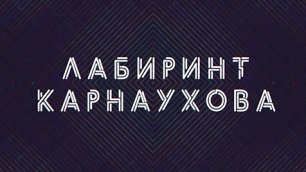 Лабиринт Карнаухова | Соловьёв LIVE | 26 мая 2022 года
