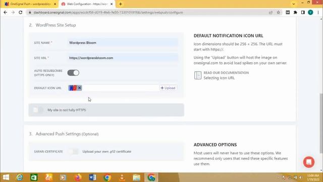 Onesignal Push Notification 2023- How to add Notification to Wordpress Website and Abondoned Cart смотреть онлайн