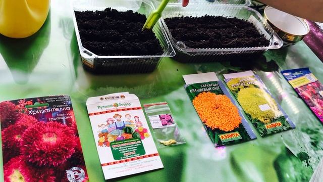 БУДНИ САДОВОДА -???Пикируем Лобелию! ???Сеем восхитительные цветы !#посевывмарте#пикированиелобелии смотреть онлайн