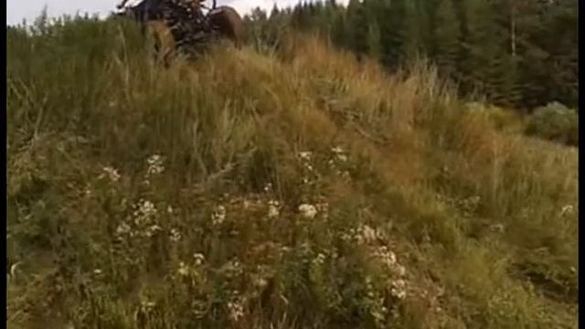 квадроцикл "ГРАФ" смотреть онлайн