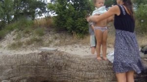 Птенчик купается на речке. chick bathed in the river