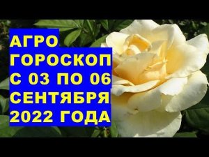 Агрогороскоп с 03 по 06 сентября 2022 года