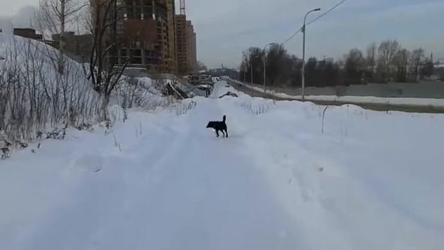 16.12.2018 Ганечка бежит навстречу смотреть онлайн