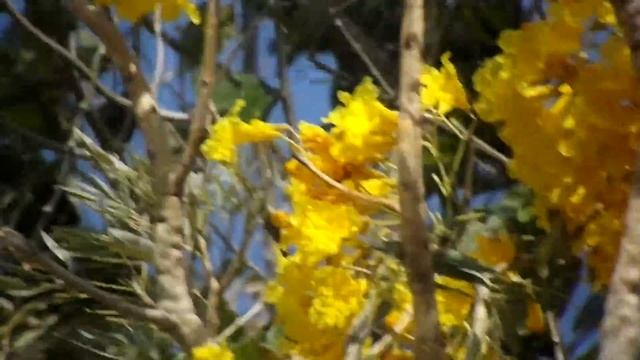 FujiFilm FinePix S4800 AMAZING photos and videos!! смотреть онлайн