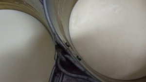 Джерсейское молоко !!! не куда негодное ?!