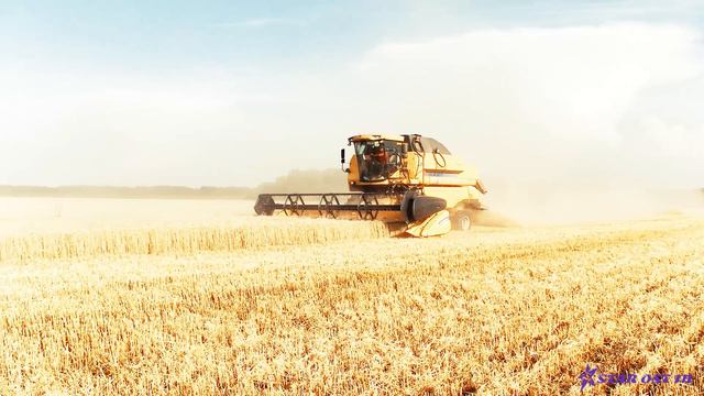 Другие люди