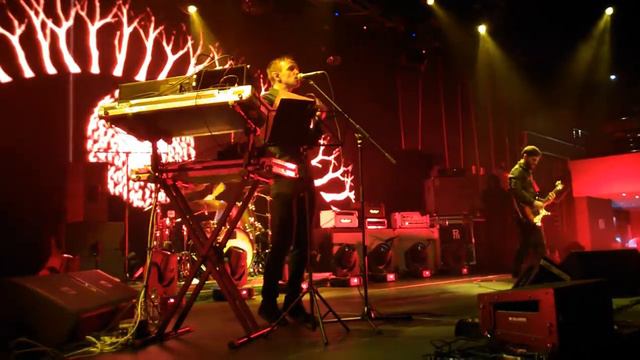 Дельфин Sunset смотреть онлайн