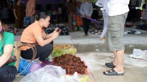 Harvest Amomum Xanthioides Wall Goes to the market sell - Lý Thị Ca