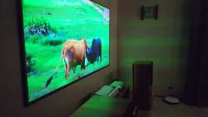 XGIMI M1 + ALR экран  в режиме обычного просмотра 2