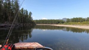 река Белянка Якутия август 2019г