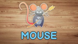 Farm animals in English