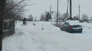 Самодельный снегоход из мопеда