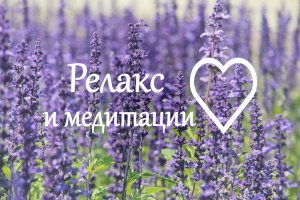 Релакс Звуки садовых птиц и природы