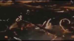 Разве тебе важно мнение топливо для ада.mp4