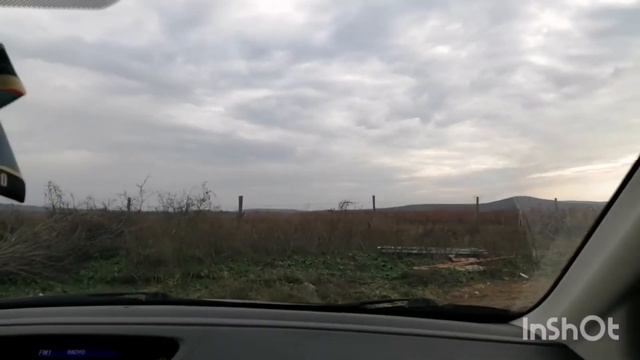 Зашили потолки. Завтра будем делать планировку участка. Вчера было землетрясение.