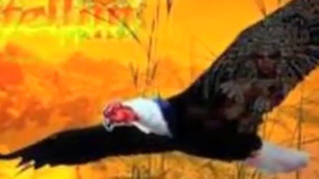 UN CONDOR PASA ,,PILAR KUREZYN SADURNI INTERPRETA CON SU PIANO смотреть онлайн