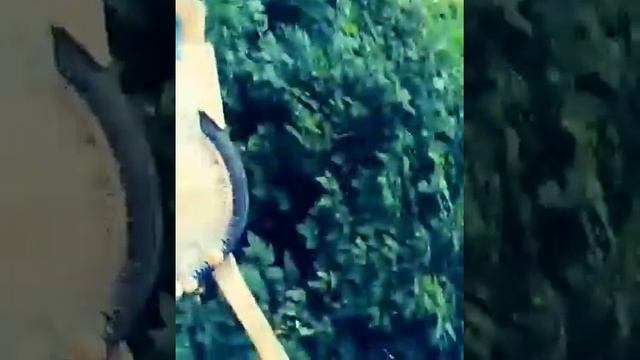 Еж для уборки падалицы, 26' смотреть онлайн