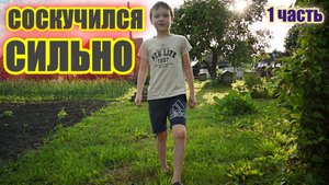 ЗАБРАЛИ СЫНОЧКА У БАБУШКИ ИЗ ДЕРЕВНИ | ЛЮБУЕМСЯ СЕЛЬСКИМИ КРАСОТАМИ | ТРУДИМСЯ НА ЗЕМЛЕ