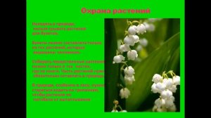 будь природе другом презентация 2 класс