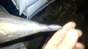 Наконечник трубы для скважины