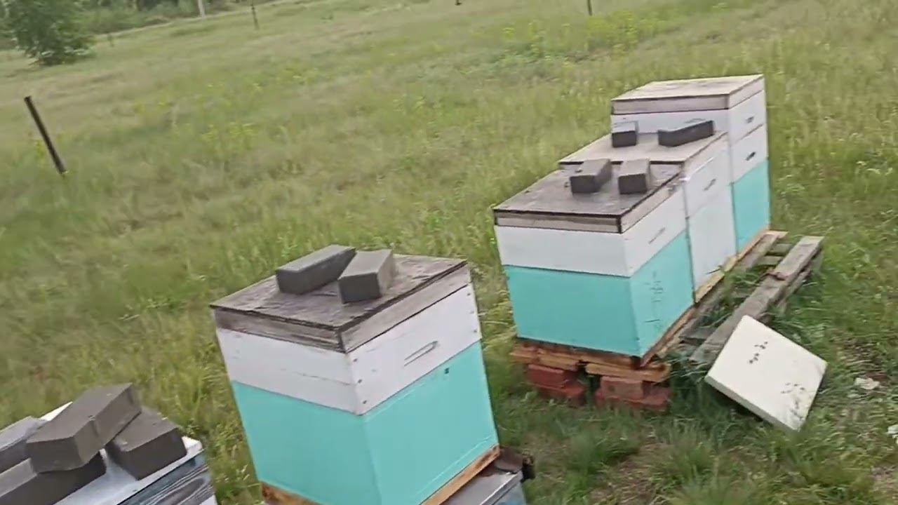 Сборы и выезд на кочёвку смотреть онлайн