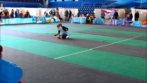 ?? Собачий спорт: Танцы с собаками / Кинологический фристайл | Необычные виды спорта